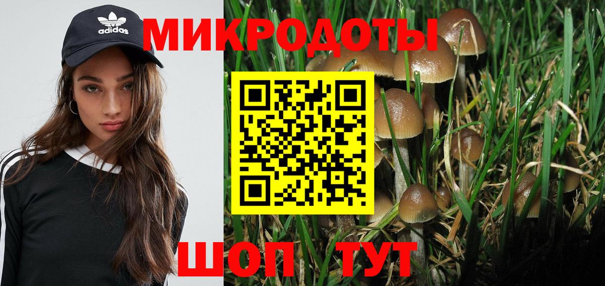Родники  Галлюциногенные грибы мицелий  Вход с VPN 