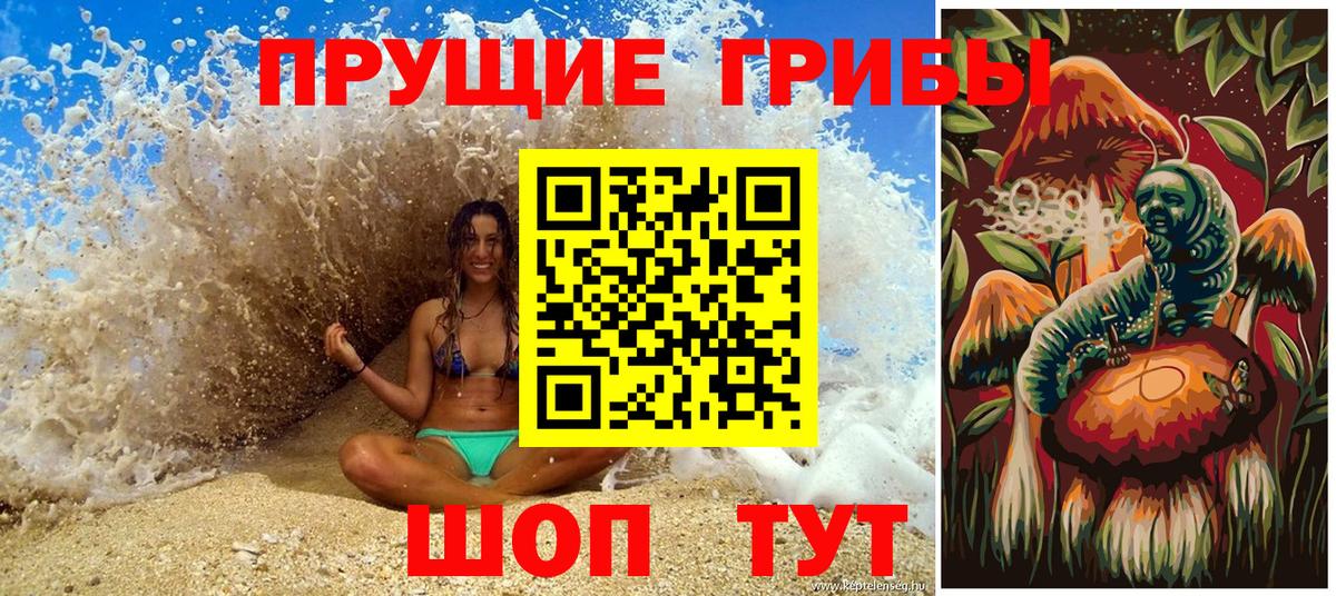 Галлюциногенные грибы прущие грибы Родники