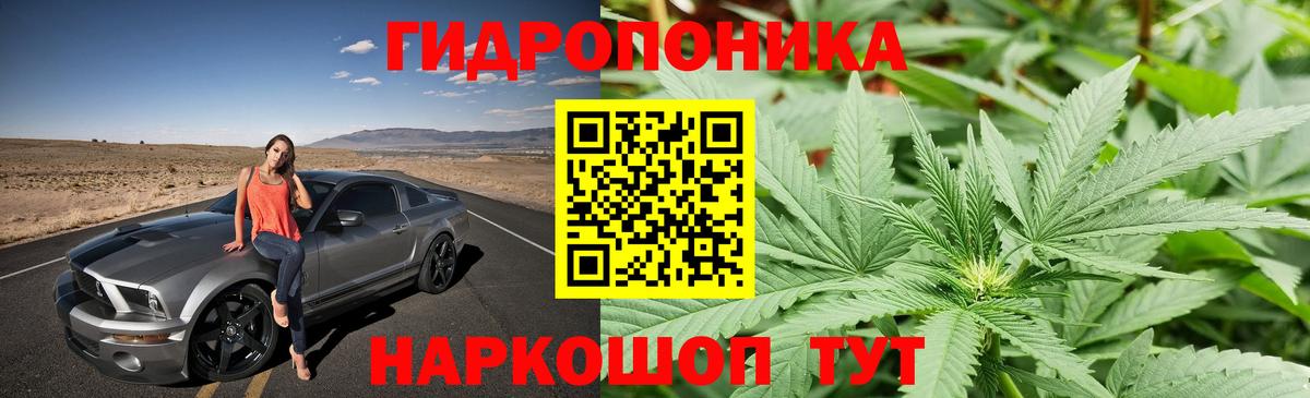 Родники  Шишки марихуана AK-47  Канабис план  Каннабис Ganja  Вход с VPN 